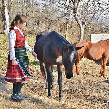 Ecopark Elena Hotel Zewnętrze zdjęcie