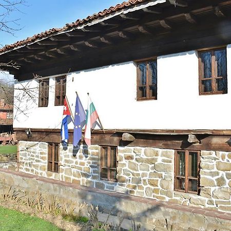 Ecopark Elena Hotel Zewnętrze zdjęcie