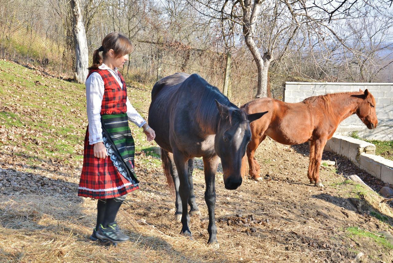 Ecopark Elena Hotel Zewnętrze zdjęcie