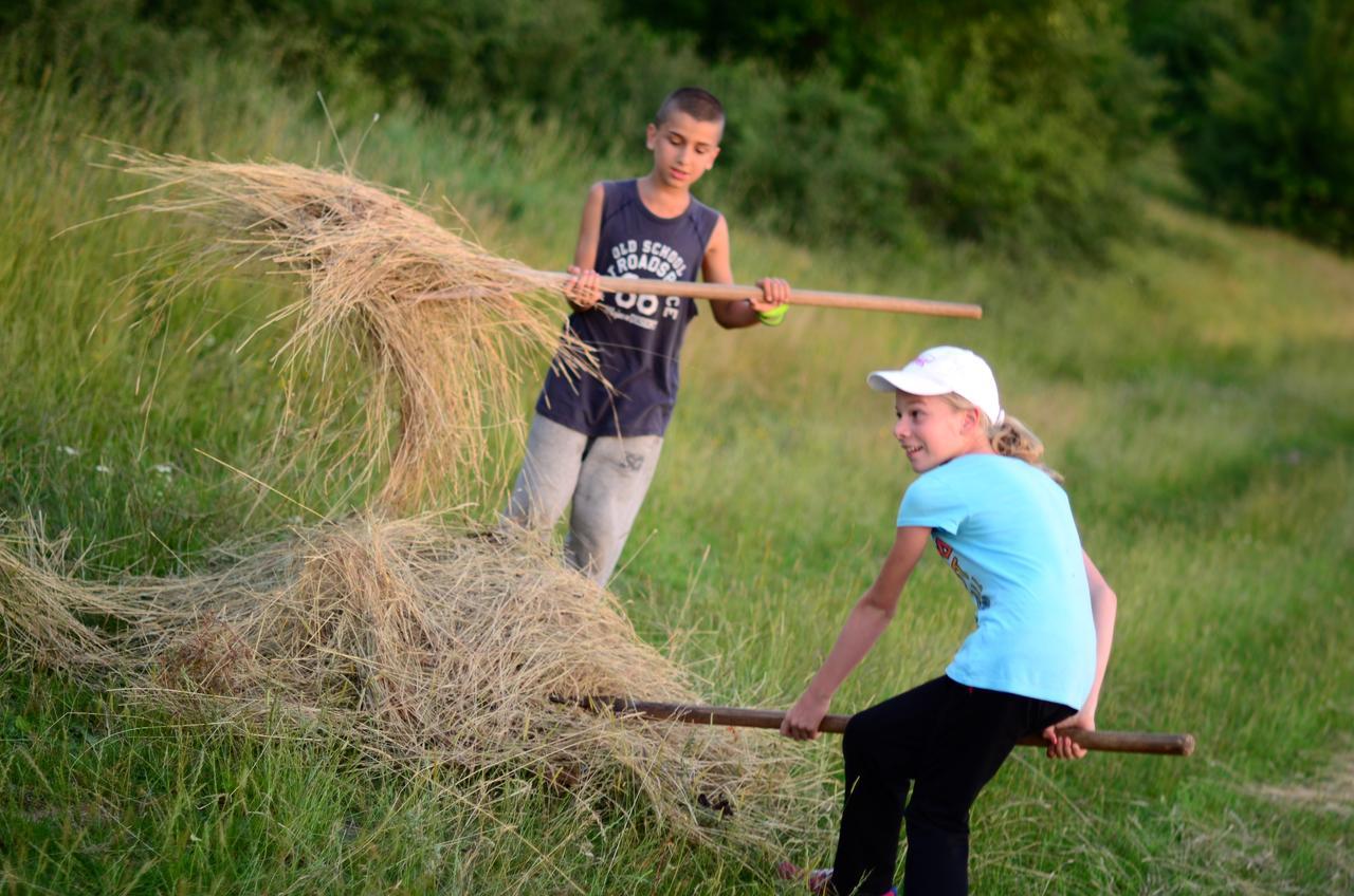 Ecopark Elena Hotel Zewnętrze zdjęcie