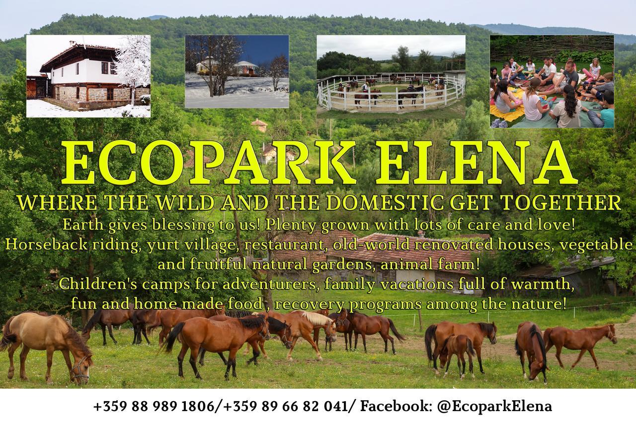 Ecopark Elena Hotel Zewnętrze zdjęcie