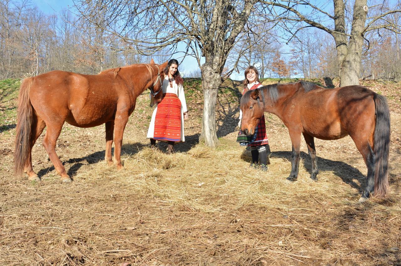 Ecopark Elena Hotel Zewnętrze zdjęcie