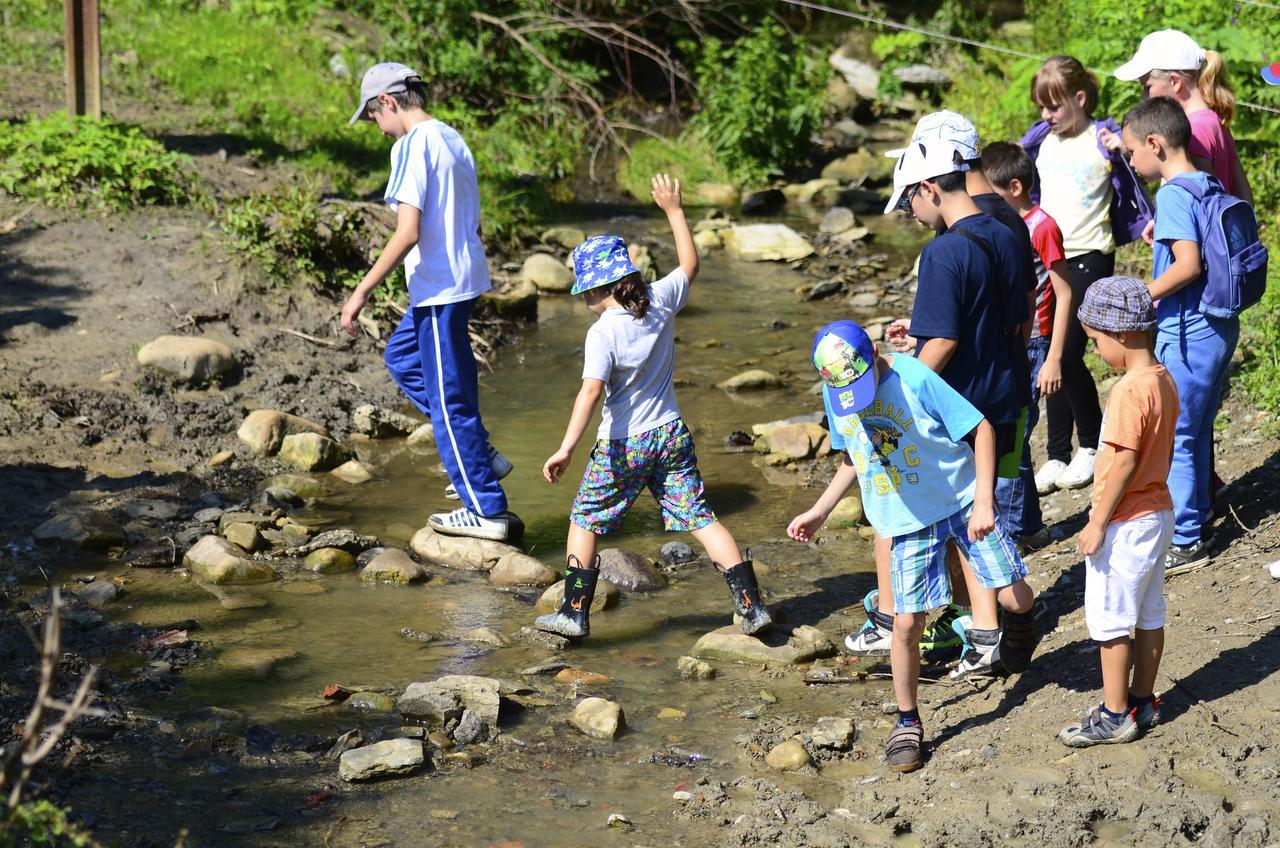 Ecopark Elena Hotel Zewnętrze zdjęcie