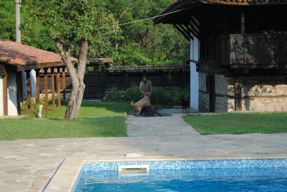 Ecopark Elena Hotel Zewnętrze zdjęcie