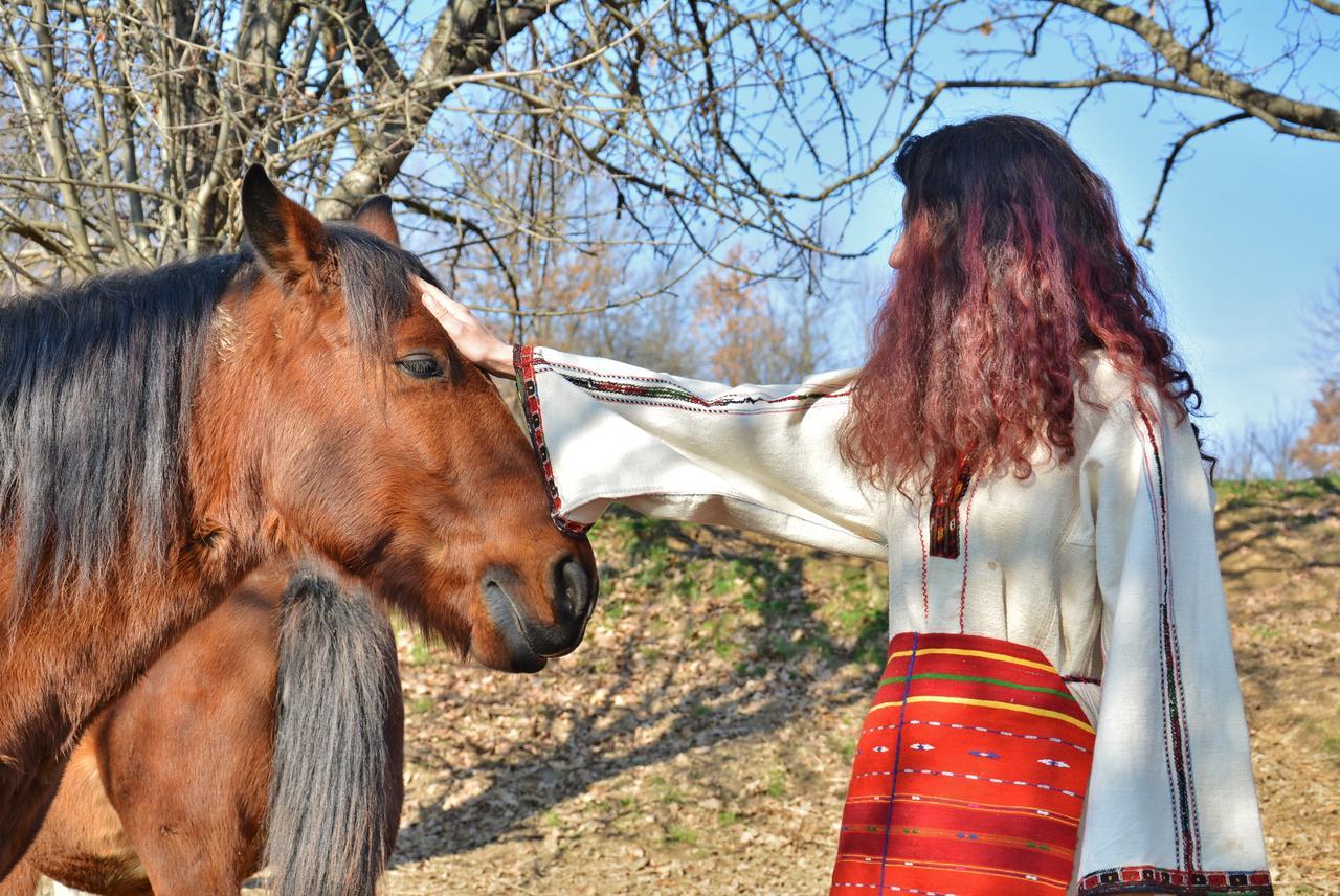 Ecopark Elena Hotel Zewnętrze zdjęcie
