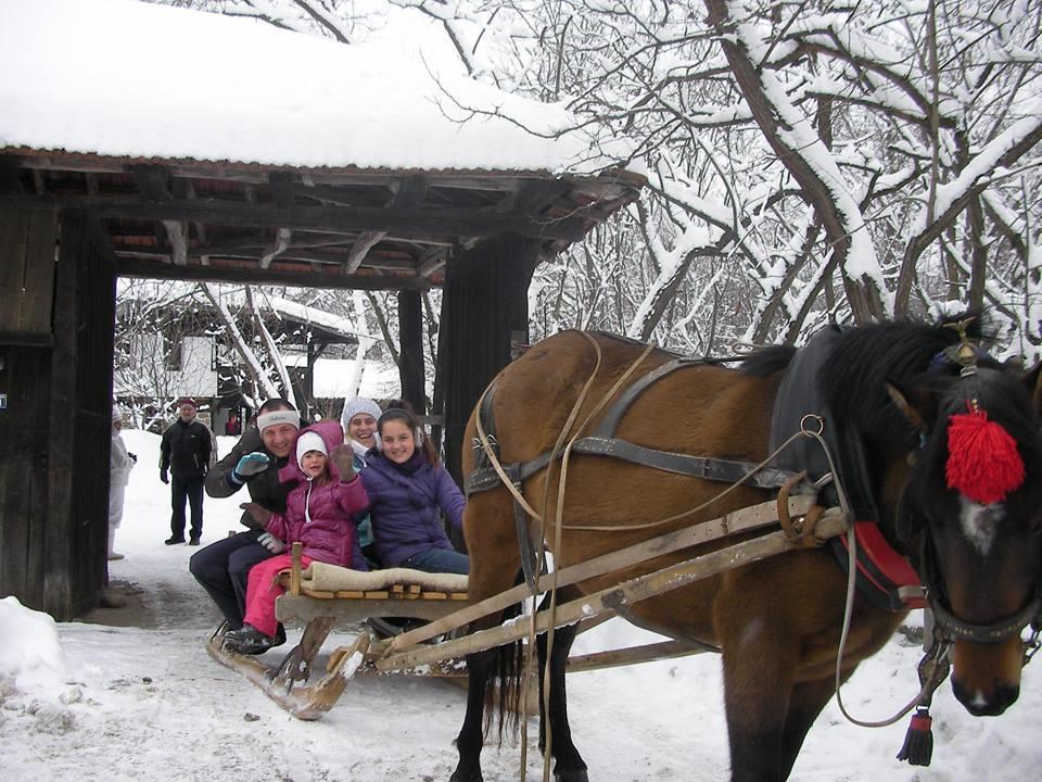 Ecopark Elena Hotel Zewnętrze zdjęcie