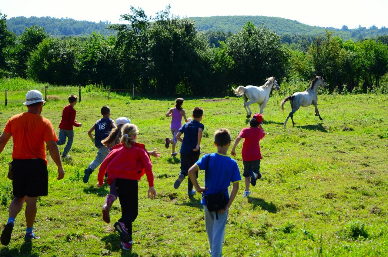 Ecopark Elena Hotel Zewnętrze zdjęcie