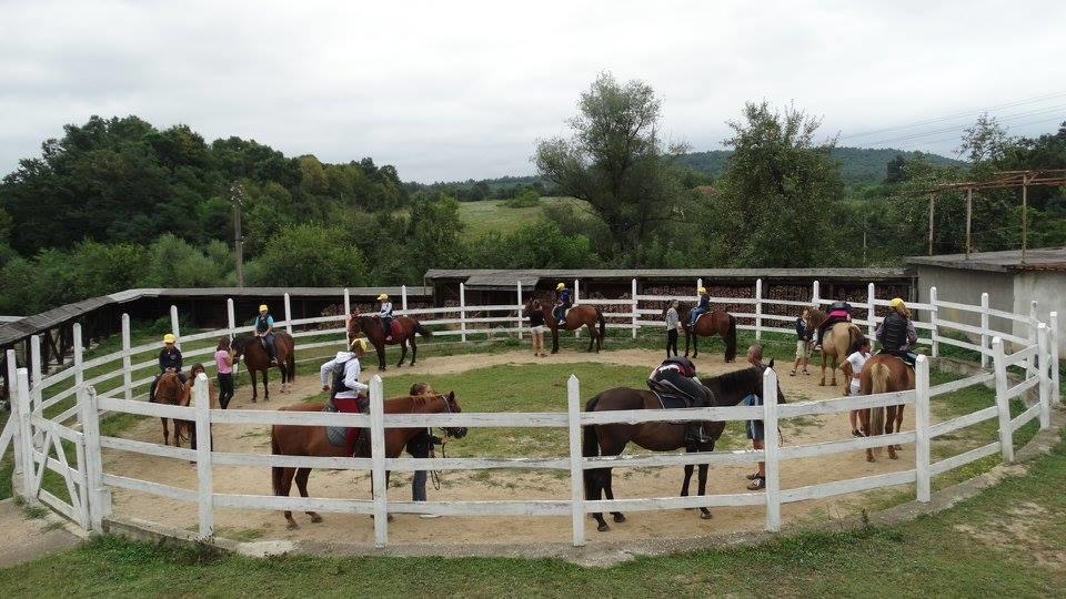 Ecopark Elena Hotel Zewnętrze zdjęcie