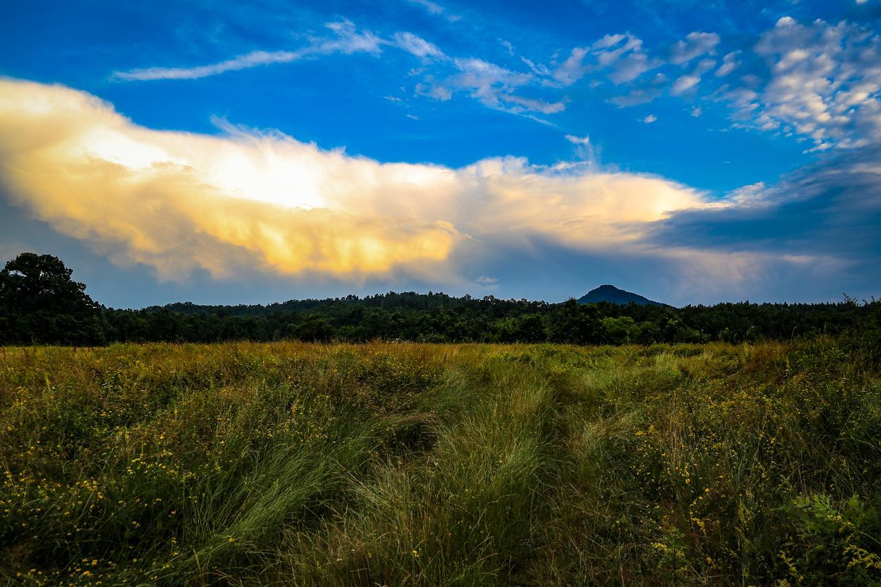 Ecopark Elena Hotel Zewnętrze zdjęcie