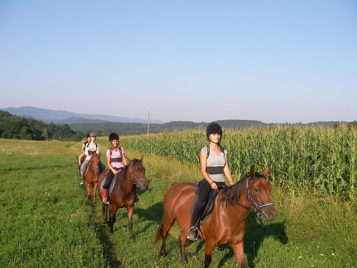 Ecopark Elena Hotel Zewnętrze zdjęcie