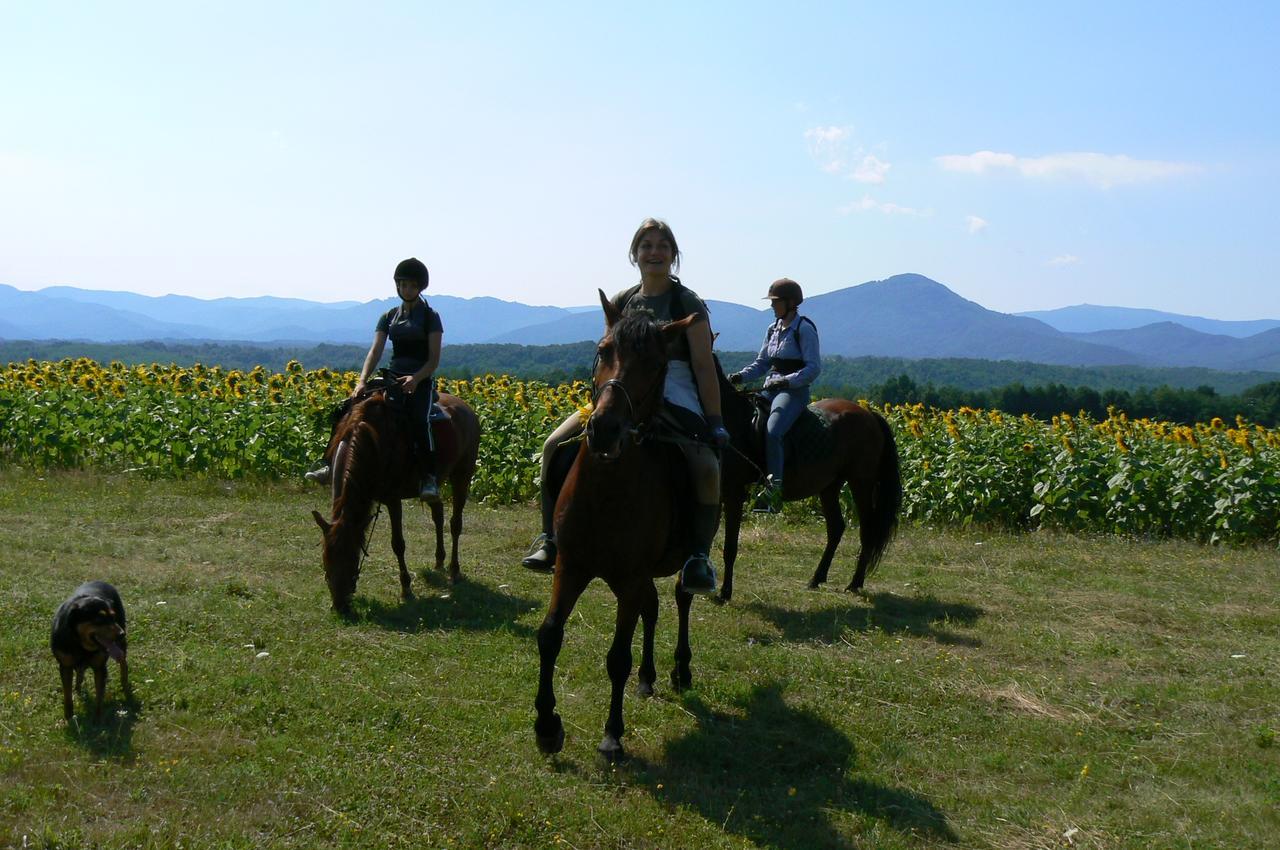 Ecopark Elena Hotel Zewnętrze zdjęcie