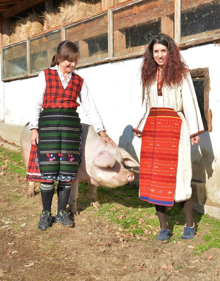 Ecopark Elena Hotel Zewnętrze zdjęcie