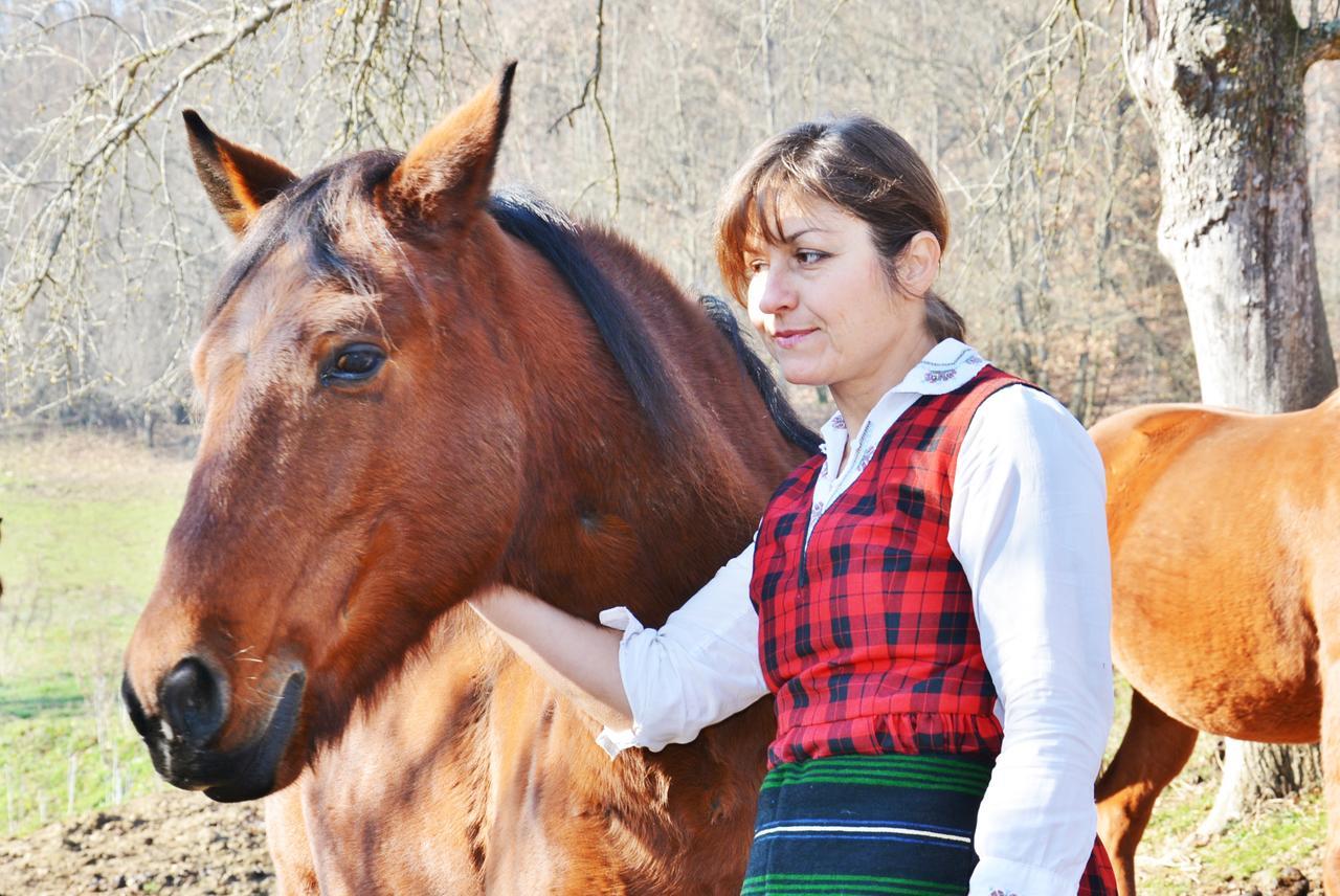 Ecopark Elena Hotel Zewnętrze zdjęcie