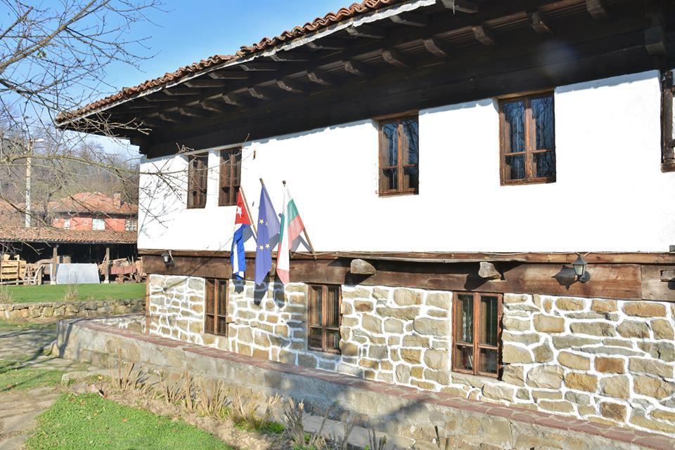 Ecopark Elena Hotel Zewnętrze zdjęcie
